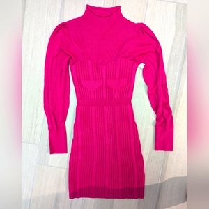 Anthropologie Turtleneck Sweater dress